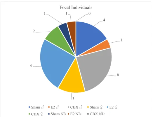 Figure 3.2) Pie chart of the distribution of the population of focal individuals according to the sex and the treatment  that they were submitted to
