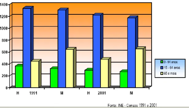 Figura  12  –   Estrutura  Etária  da  População  do  Concelho,  por  sexo  em  1991  e  2001 