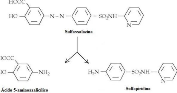 Figura  3.1:  Representação  da  molécula  de  sulfassalazina  que  é  composta  por  uma  molécula  de  messalazina  (ácido  5-aminossalicílco)  e  outra  de  sulfapiridina,  ligadas  por  uma  ligação azo.(33) 