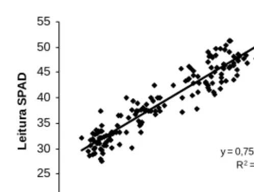 Figura 2 - Relação entre o teor  foliar de  azoto  (g kg  –1 ) e a leitura SPAD (n=150) 