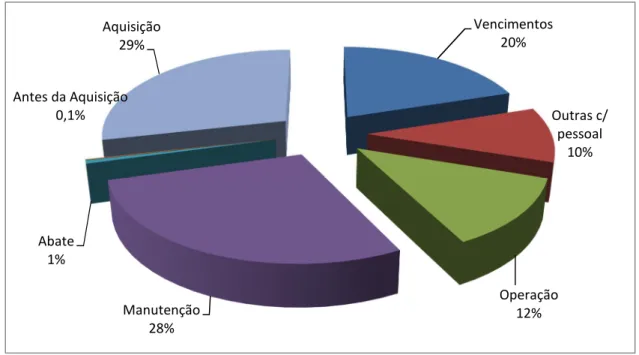 Figura 5- Distribuição dos grandes custos parciais do CCV do NPO 12