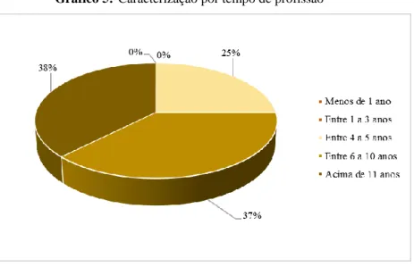 Gráfico 5: Caracterização por tempo de profissão