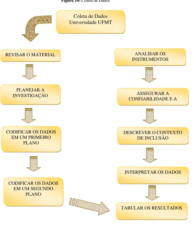 Figura 10: Coleta de Dados 