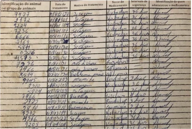 Figura 12 - Ficha de Registo de Medicamentos Veterinários.                                                                                              