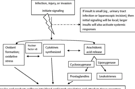 Figure 1: Molecular, cellular, and systemic interactions during inflammation.