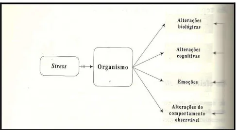 Figura 3 - As respostas induzidas pelo stress no organismo são concomitantes e influenciam-se  mutuamente