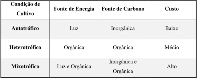 Tabela 1.2.1 – Comparação das características das diferentes condições de cultivo (C.-Y