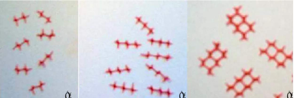 Figura 1.15 - Amostras dos fragmentos em estudo cortados da rede plástica que foram aplicados na  areia: a) 2+; b) 3+; c) 3+3+ (adaptado de Canova et al., 2009)