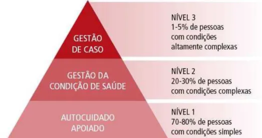 Figura 3- Modelo da Pirâmide de Risco Fonte: (Vilaça, 2012) 