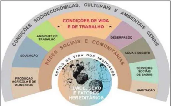 Figura 6- Modelo de Determinação Social da Saúde Fonte: (Vilaça, 2012) 