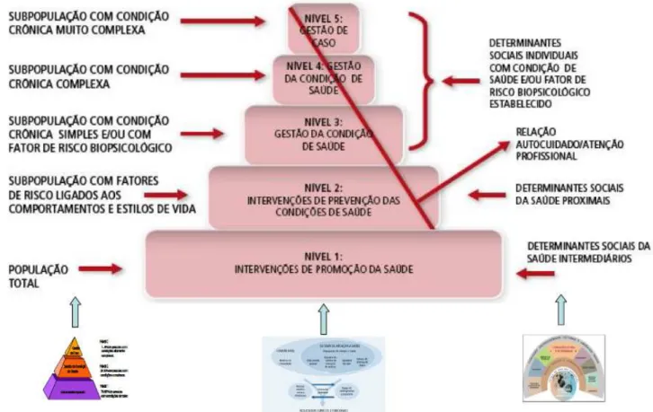 Figura 7- Modelo de Atenção às Condições Crónicas Fonte: (Vilaça, 2012) 