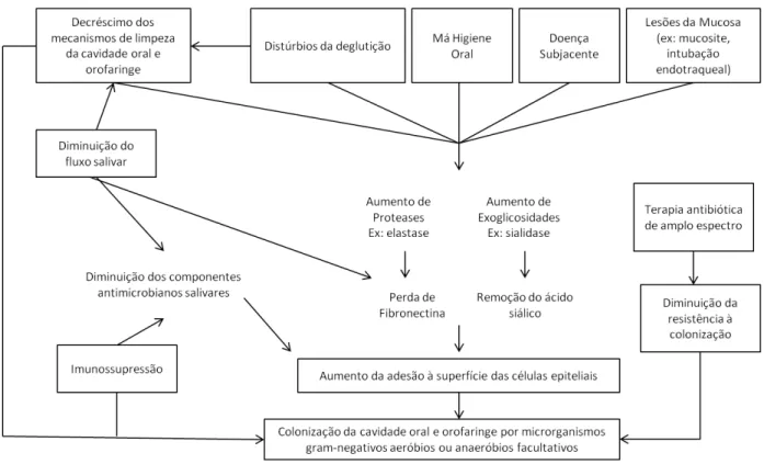 Figura 1. Adaptado de Lam, O.L.T.; McGrath, C.; Li, L.S.W.; Samaranayake, L.P. (2012).