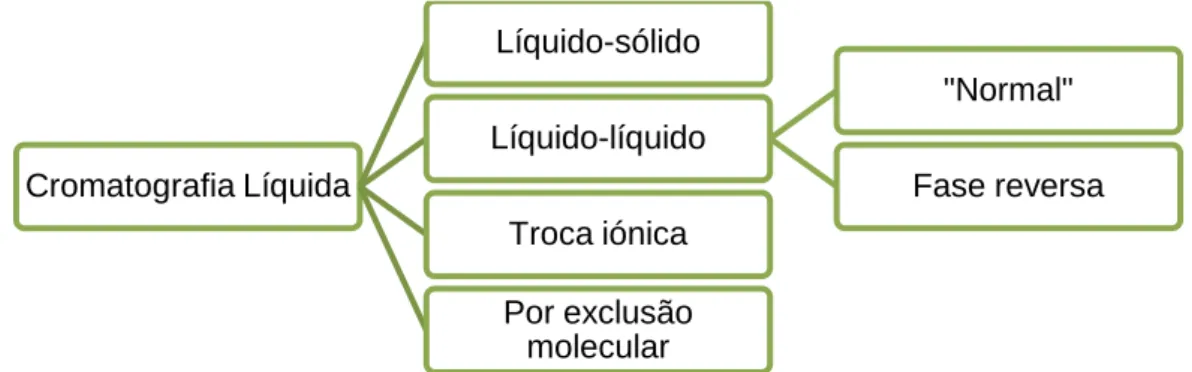Figura 10 - Tipos de cromatografia líquida 
