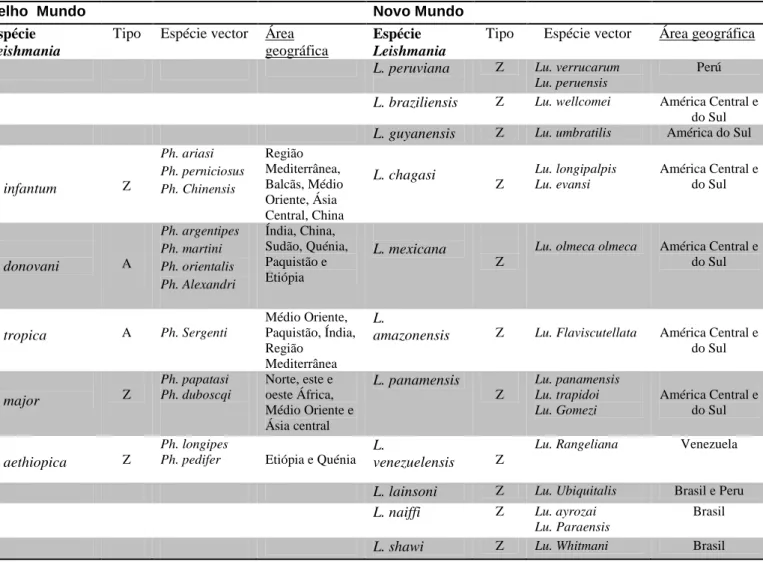 Tabela 2 – Espécies de vectores e Leishmania no Novo e no Velho Mundo e distribuição  geográfica (baseado em Rolão, 2004; Gramiccia &amp; Gradoni, 2005)