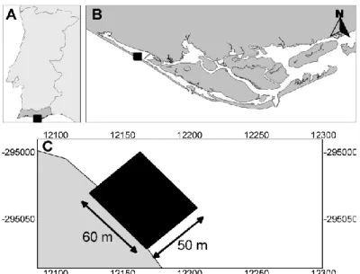 Figure 1. Location of the study area. Map of Portugal (A) showing the location of the Ria Formosa (B) and the study area  (C)