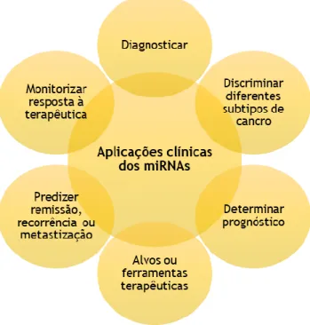 Figura 5 - Aplicações dos miRNAs na clínica do cancro.