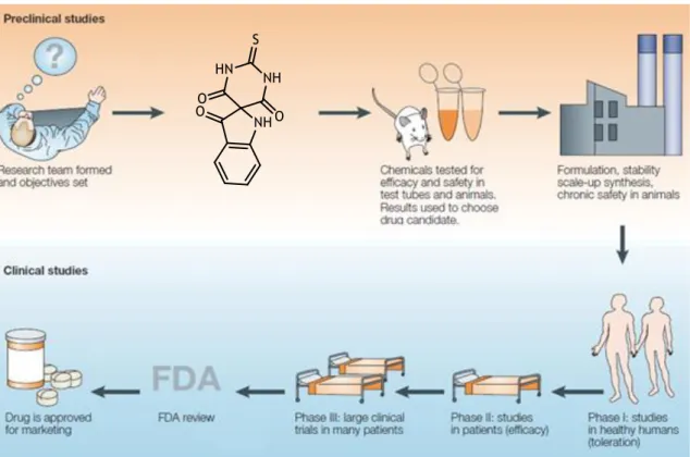 Figure 1.2 - Stages in the drug discovery process. Adapted from Lombardino et al. 1