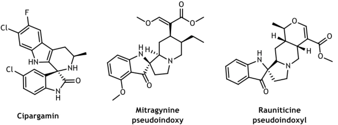 Figure 1.9 - Examples of drugs containing C3- and C2-spiroindolinone core structure. 55, 59