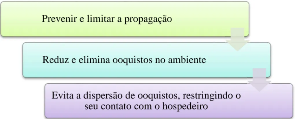 Figura 8 - Esquema da prevenção e controlo da criptosporidiose. 