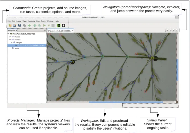 Figure 8 Main GUI window areas. Project Manager: the user can manipulate the project folders and their files; Commands: the user can run a specific process on the selected project; Workspace: the user can visualize and edit the selected widgets.