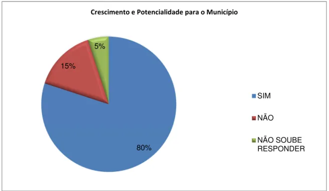 GRÁFICO  02:  Na  sua  opinião  o  acesso  às  estradas  favoreceu  o  crescimento  e  potencialidades para o município? 