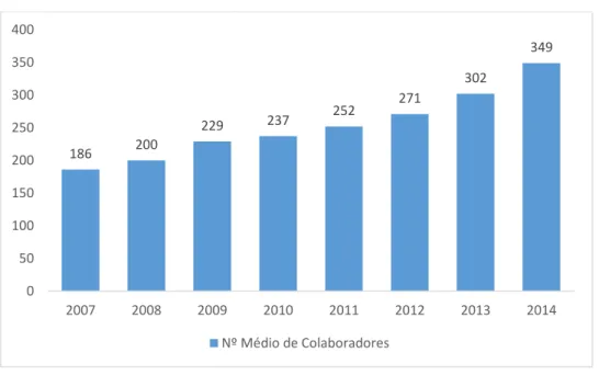 Figura 1- Nº médio de colaboradores da empresa 