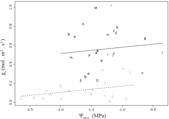 Fig. 3 – Relação entre condutância estomática no início da manhã com PPFD de 1600 μmol.m -2 .s -1  (pré-curva) e potencial hídrico  (estimado no meio dia)