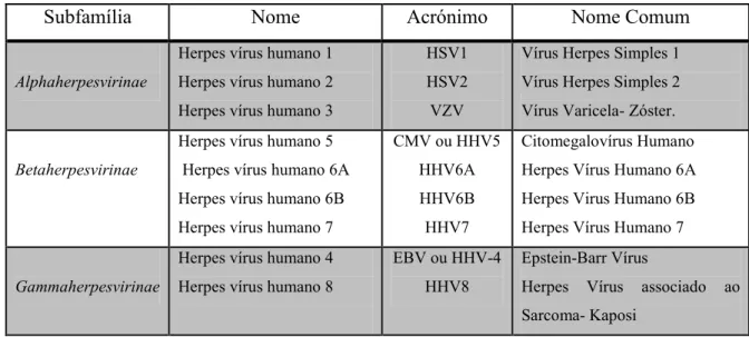 Tabela 1- HHVs : Subdivisão da família Herpesviridae (adaptado de Roizman, et al., 2009)
