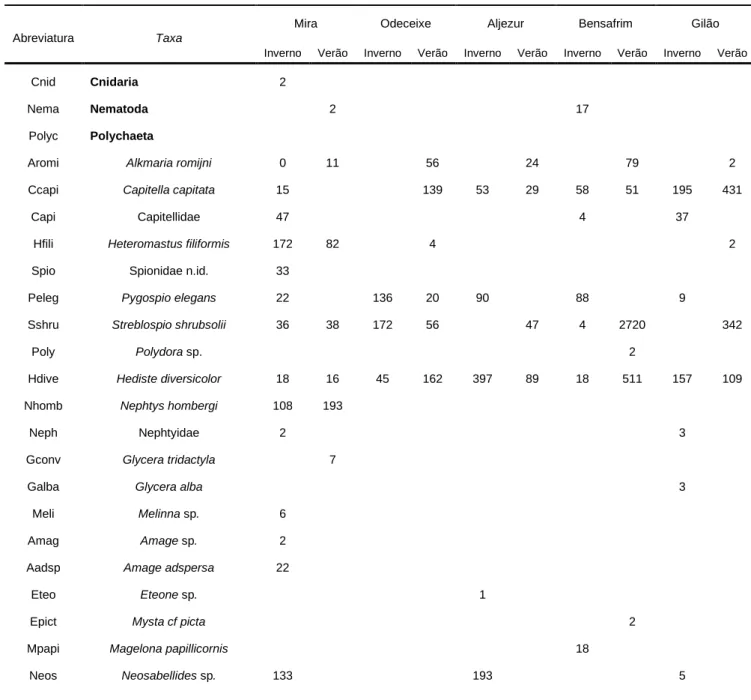 Tabela I- Lista de taxa (valores médios de densidade por 1 m 2 ) nos estuários de Mira, Odeceixe, Aljezur, Bensafrim e Gilão