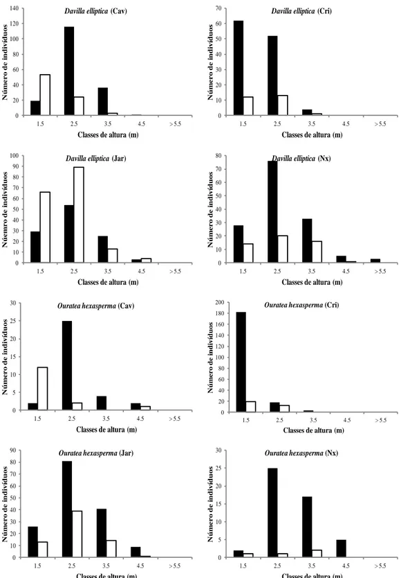 Figura  2.4-  Distribuição  dos  indivíduos  em  classes  de  altura  para Davilla  elliptica  A