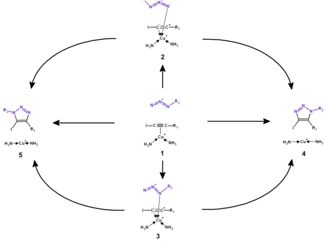 Figure 3: The six reaction pathways arising from azide addition to π-complexed iodoalkynes.