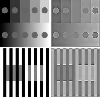 Figure 1. Brightness induction effects (left) and model predictions (right).