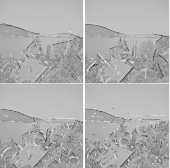 Figure 1 (left) shows two brightness induction effects, i.e. simultaneous brightness contrast (top) and  assimila-tion (bottom)