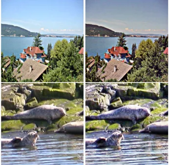 Figure 6. Input image (B/W) and a saliency map for FoA.