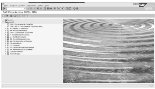 Ilustração 9  –  Tela inicial do ERP da SAP - SIG/DN 