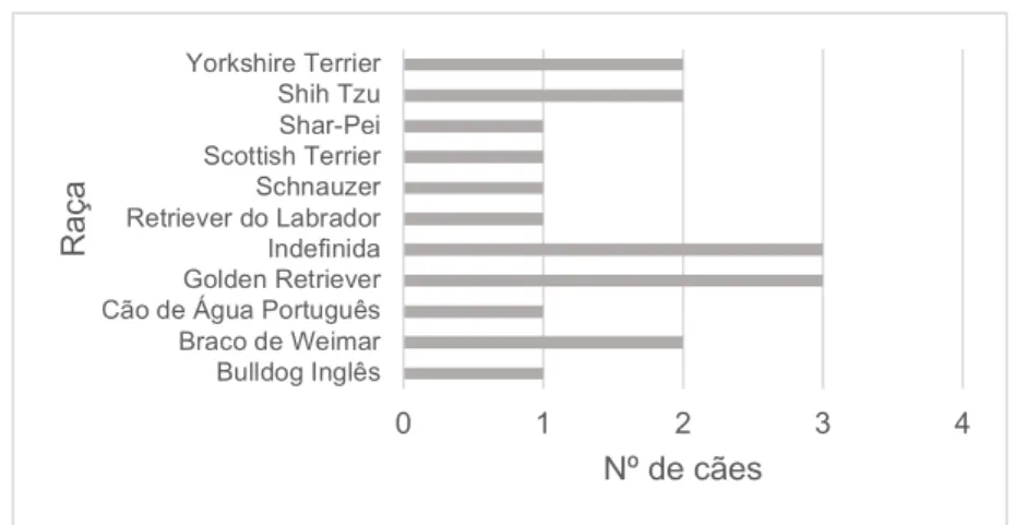 Gráfico 2 - Distribuição das raças na amostra em estudo. 