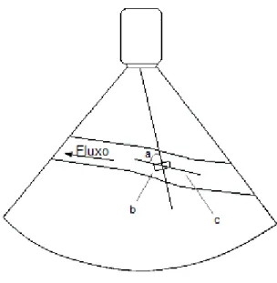 Figura 8. Representação do cursor em ecografia Doppler duplex (a – ângulo entre o feixe de  ultrassom e a direcção do fluxo; b – volume de amostra (gate); c – cursor do ângulo de fluxo  (paralelo ao fluxo)) (Nyland &amp; Matoon, 2004)