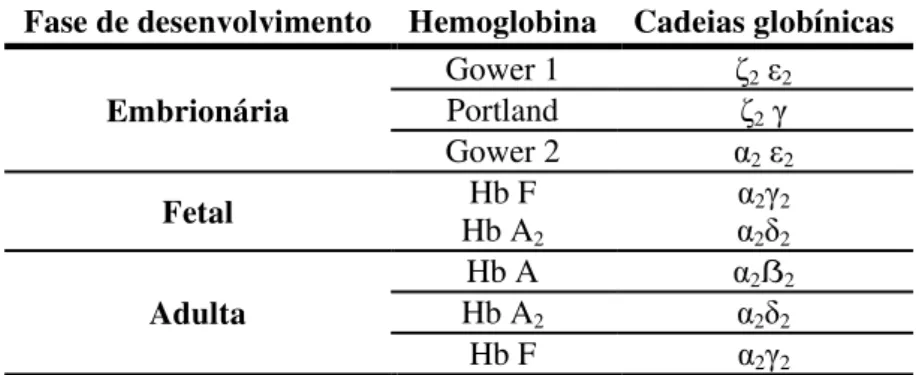 Tabela 4: Expressão genética da Hb ao longo do desenvolvimento humano (Rappaport, 2004)