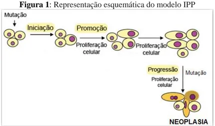 Figura 1: Representação esquemática do modelo IPP 