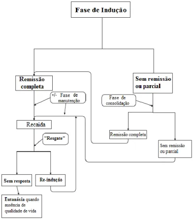 Figura 4: Representação das fases de tratamento em quimioterapia (adaptado de Argyle et al, 2008) 