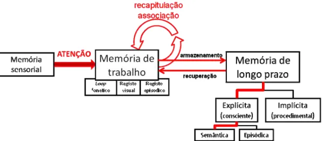 Figura 7: Relação entre a atenção e as estruturas da memória. 