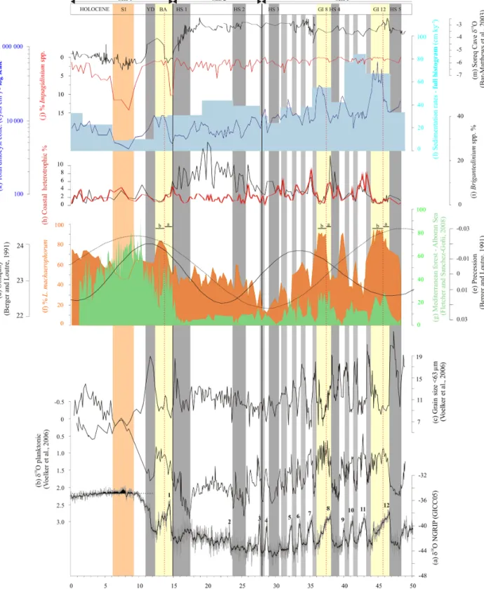 Figure 7. Greenland δ 18 O data (a) in parallel with data from core MD99-2339: planktonic δ 18 O (b) and mean grain size < 63 µm (c), over the last 50 ky