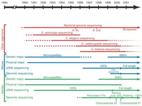 Figure 2 – Timeline of some genomic analysis, over the years. ESTs – Expressed sequence tags; SNPs –  Single Nucleotide Polymorphisms (Adapted from [9]).