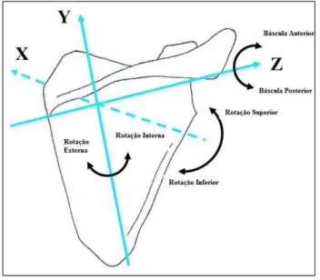 Figura 1: Movimento tridimensional normal da omoplata (adaptado de Borstad, 2006) 