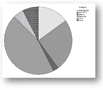 Gráfico 2: Distribuição percentual das profissões na amostra de doentes com MCH.  Outros- coveiro e polícia  