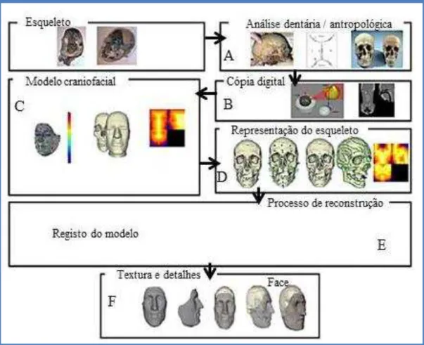 Figura 3  –  Esquema geral da técnica de RCF (adaptado de Claes et al., 2010). 