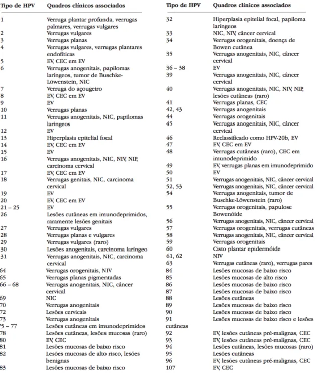 Tabela 3 - Tipos de HPV e principais lesões associadas  (adaptado de Leto et al., 2011) 