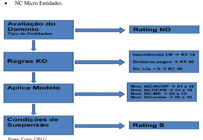 Figura 8 – Esquema do processo de rating 