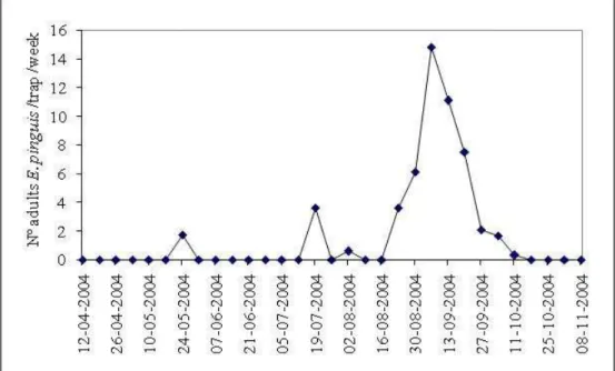 Figure 1. Evolution of populational dynamics of Euzophera pinguis in the year 2004.  
