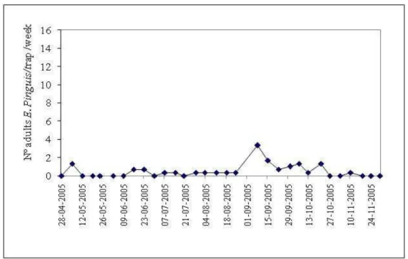 Figure 2. Evolution of populational dynamics of Euzophera pinguis in the year 2005. 